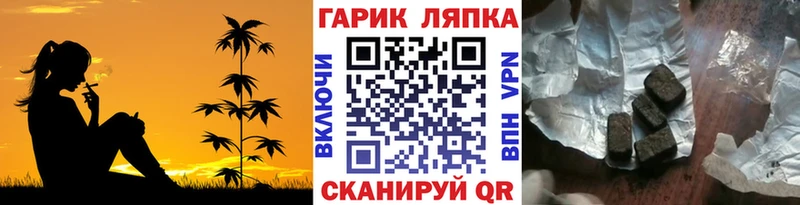 mega как войти  Аргун  ГАШИШ Изолятор 
