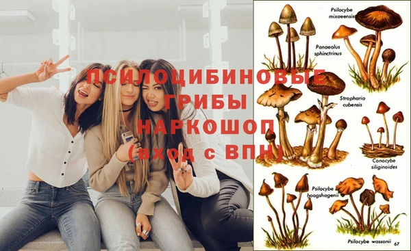 молекула духа Нязепетровск