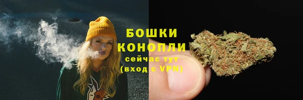 МДПВ Нягань