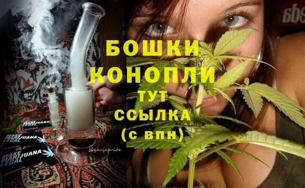 МДПВ Нягань