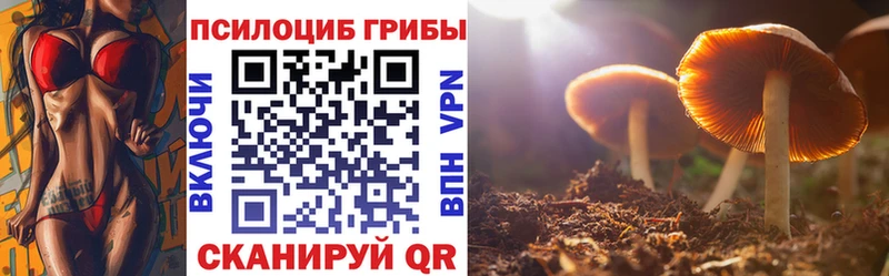 Псилоцибиновые грибы мицелий  Аргун 