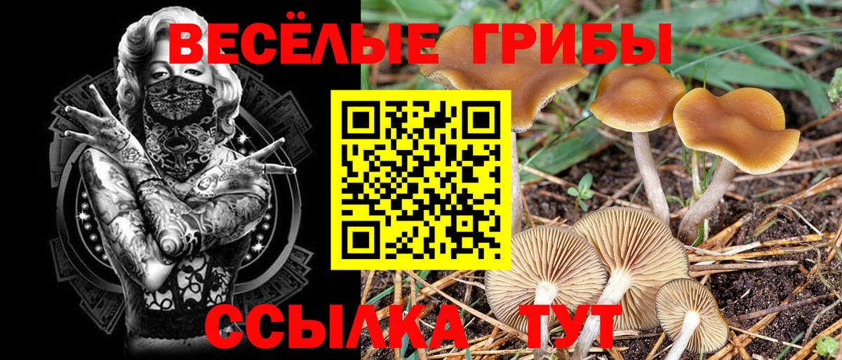 Псилоцибиновые грибы мухоморы  где купить наркотик  Аргун  Вход с VPN  Псилоцибиновые грибы ЛСД 
