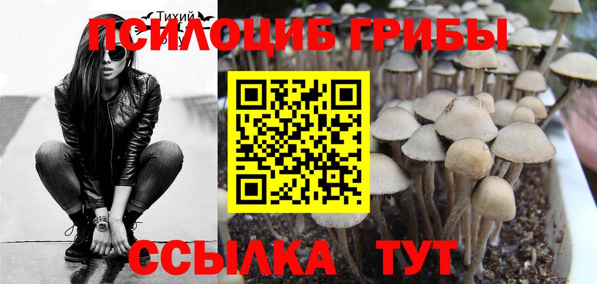 Галлюциногенные грибы MAGIC MUSHROOMS  магазин продажи   Аргун 